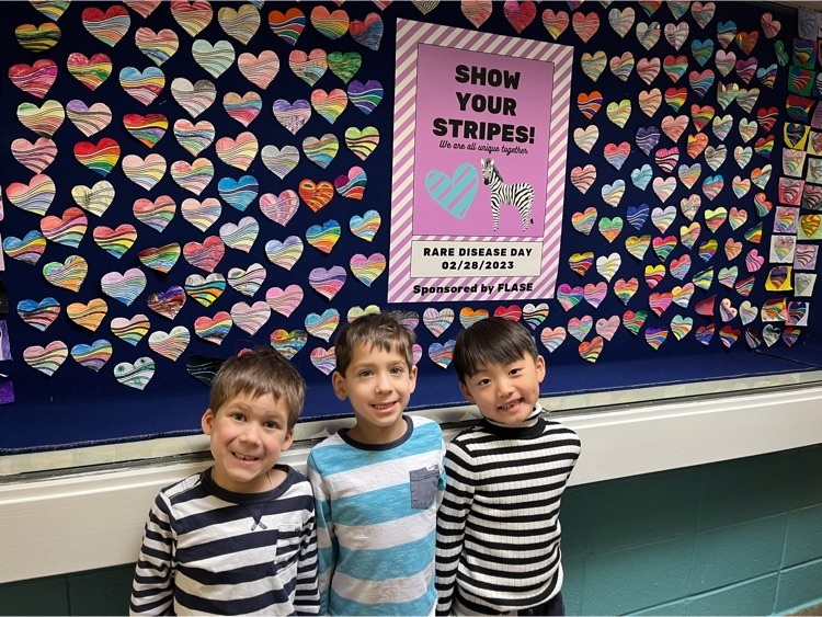 show your stripes on rare disease day