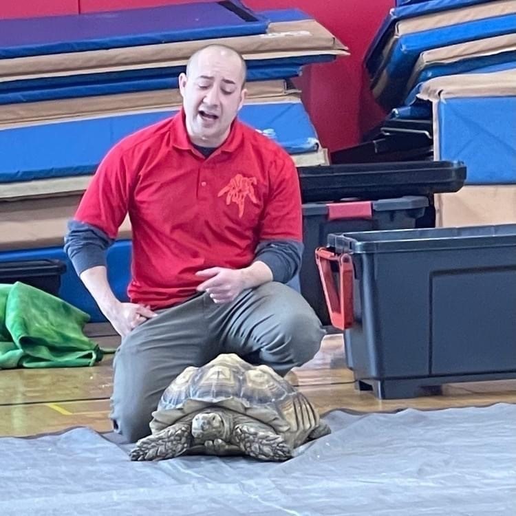 bald man in red shirt crouching down near a turtle on gym floor