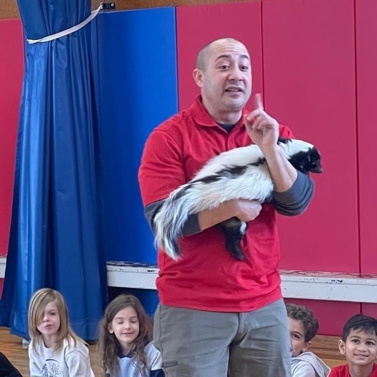 Bald man in red shirt holding a black and white skunk