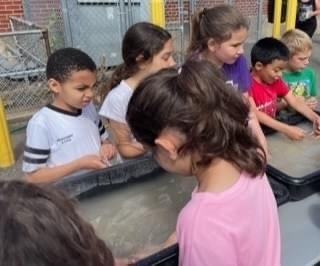 6 students stand around a sluice and dig for rocks and minerals